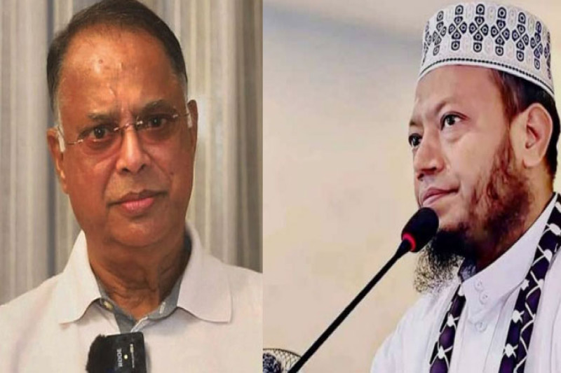 আমির হামজা