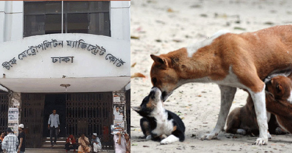 রাজধানী