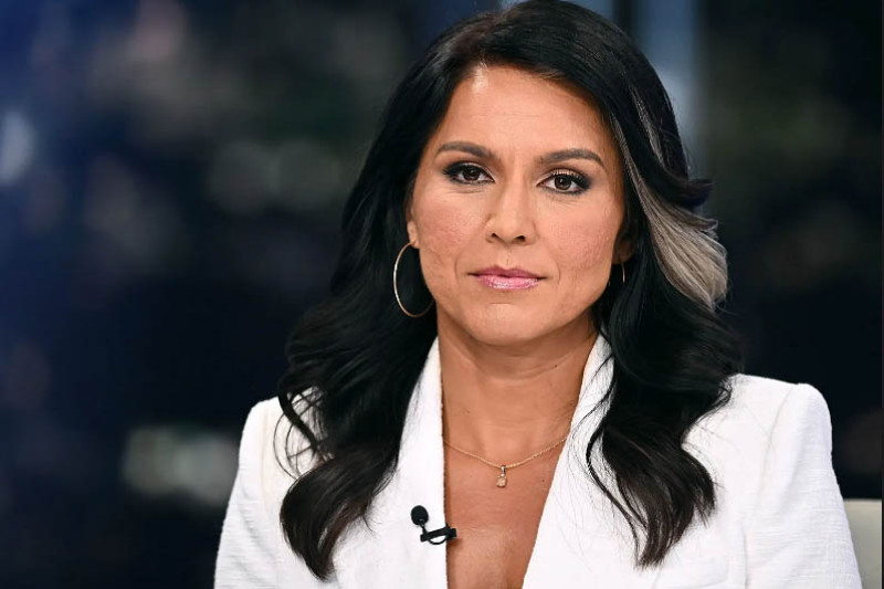 তুলসী গ্যাবার্ড